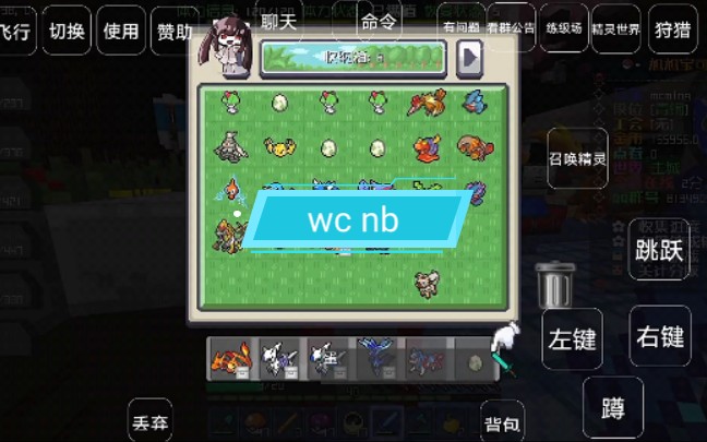 我的世界免费的宝可梦服务器在哪(我的世界免费的宝可梦服务器在哪下载)，我的世界免费宝可梦服务器下载指南，探索宝可梦世界的起点！，我的世界免费宝可梦服务器下载指南，探索奇幻宝可梦世界的起点！，我的世界免费宝可梦服务器下载指南，探索奇幻世界的起点！，我的世界免费宝可梦服务器下载指南，探索奇幻宝可梦世界的起点！ 第2张