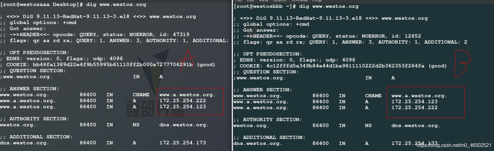 linux通过域名访问服务器(linux系统域名服务器的配置文件)，Linux域名访问服务器详解，域名服务器配置指南