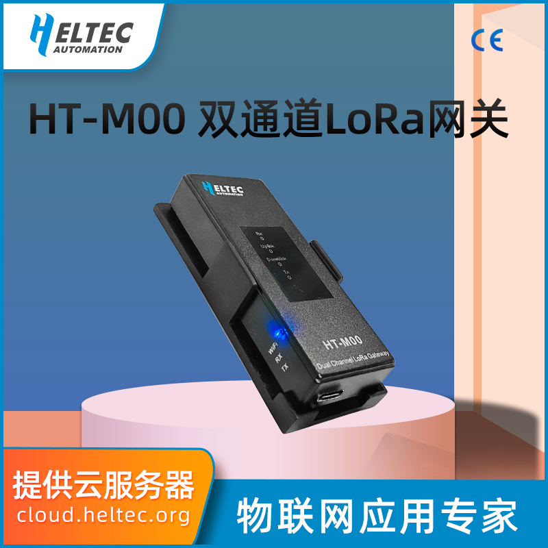 主机网关与服务器网关(dhcp服务器网关和dns怎么填)，主机与服务器网关详解，DHCP与DNS配置指南