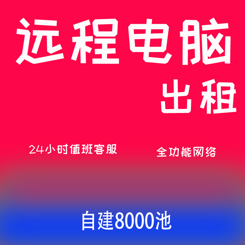 租自定义的服务器(租用服务器怎么收费)，租用服务器，自定义选项与收费解析