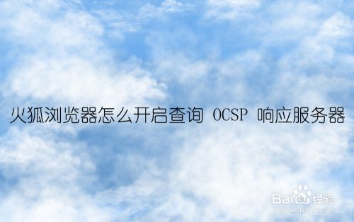 云服务器怎样安装浏览器(云服务器怎样安装浏览器软件)，云服务器安装浏览器软件教程 第1张
