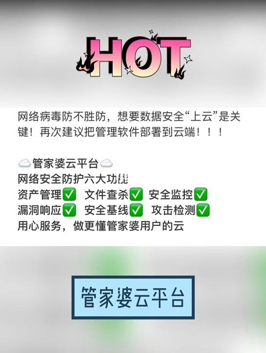 管家婆云服务器安全吗(管家婆云服务器一年多少钱)，管家婆云服务器的安全性与费用解析，管家婆云服务器安全性与费用解析，管家婆云服务器，安全性与费用全面解析，管家婆云服务器，安全性与费用全面解析指南