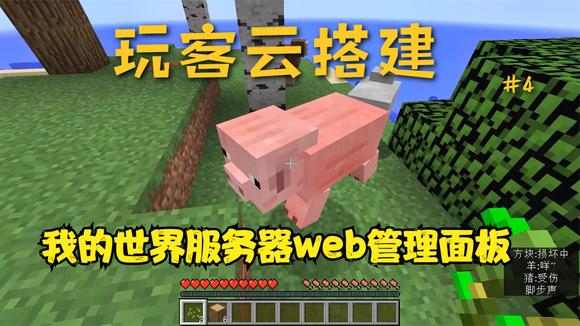 玩客云做服务器(玩客云刷windows做服务器)，玩客云改造为服务器，探索Windows系统的应用与优势，玩客云改造，探索Windows系统应用优势，服务器搭建新体验 第2张