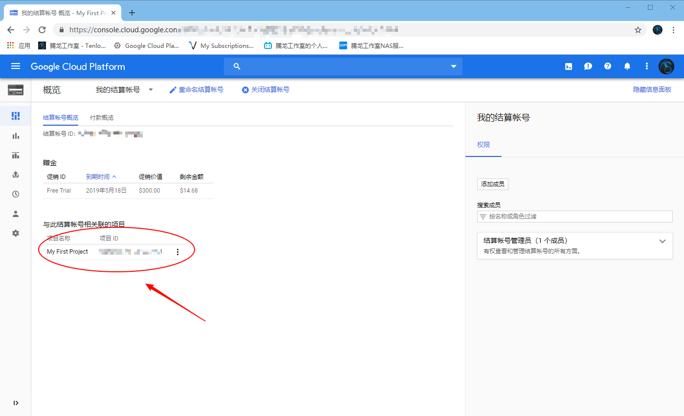 云服务器可以ping通谷歌(云服务器ping得通但访问不了)，云服务器能ping通谷歌却访问受限，问题解析与解决方案