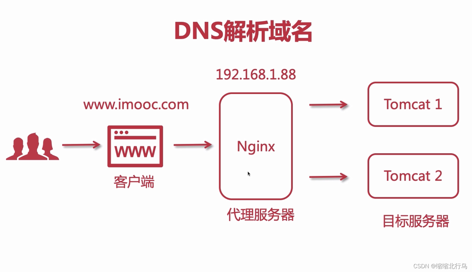 静态资源服务器域名(静态资源服务器cdn)，静态资源服务器域名与CDN，资源加速与交付的关键角色 第2张