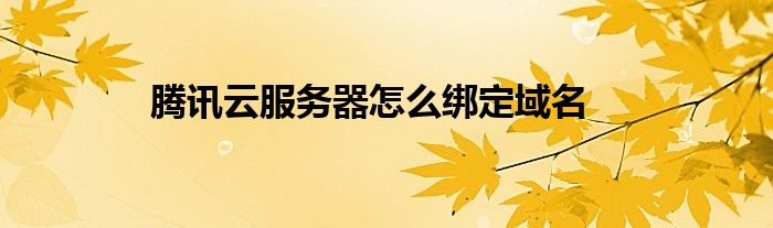 云服务器域名解析绑定(阿里云服务器的域名解析和绑定)，阿里云服务器域名解析与绑定详解