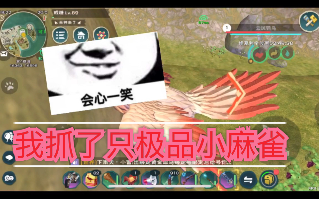 包含创造与魔法云鸟最便宜的服务器的词条，创造与魔法云鸟最便宜服务器探秘 第2张