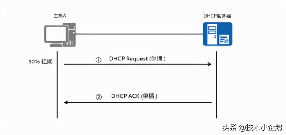 云服务器dhcp(云服务器ECS DDoS防护)，云服务器ECS DHCP与DDoS防护详解
