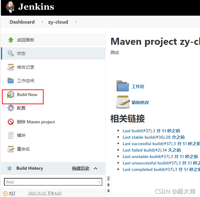 安装jenkins云服务器(安装jenkins需要依赖什么软件)，安装Jenkins云服务器，依赖软件及步骤详解，安装Jenkins云服务器，依赖软件与详细步骤指南，安装Jenkins云服务器，依赖软件与详细安装步骤指南 第2张