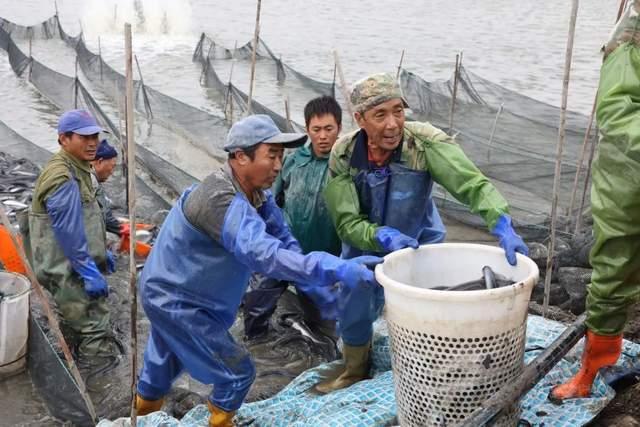 液氮冷却云计算服务器的简单介绍，液氮冷却云计算服务器简述