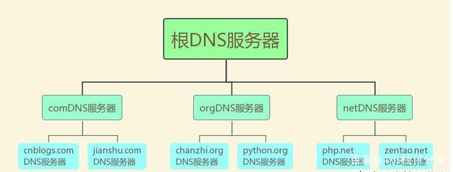 域名服务器的种类及基本功能(域名服务器的种类及基本功能有哪些)，域名服务器的种类及其基本功能解析，域名服务器的种类及其基本功能详解，解析域名服务的核心要素与功能特点 第1张