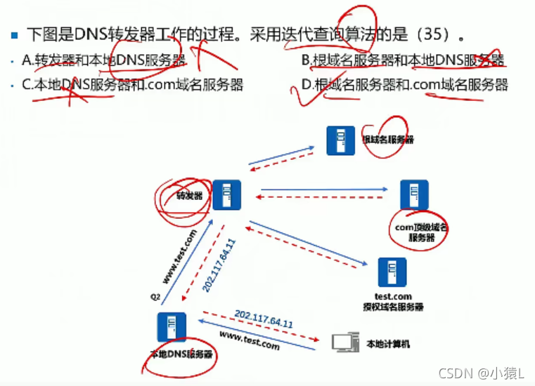 包含域名系统由很多dns服务器构成的词条，域名系统架构，由多个DNS服务器构成的网络解析核心