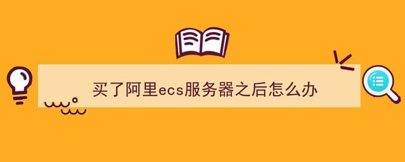 阿里云盘搭配ecs服务器(阿里云云服务器ecs的优势)，阿里云盘与ECS服务器的完美结合，探索阿里云云服务器ECS的优势，阿里云ECS与云盘完美融合，揭示阿里云云服务器ECS的优势探索
