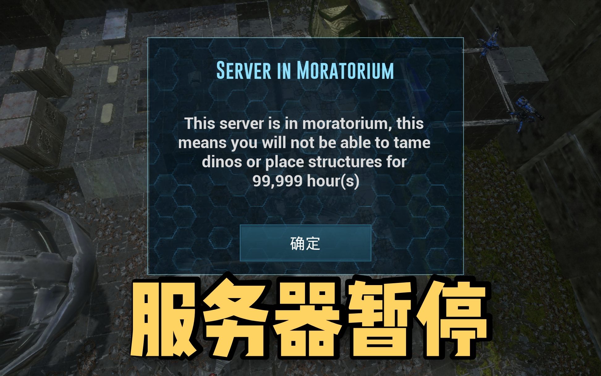 方舟手机版服务器怎么免费创建(方舟生存进化手机版怎么创建服务器需要花多少钱)，方舟生存进化手机版免费创建服务器指南及费用解析 第1张