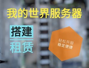 为什么服务器不能租赁(为什么服务器不能租赁软件)，为什么服务器不能租赁软件？探究服务器租赁的难题与限制 第2张