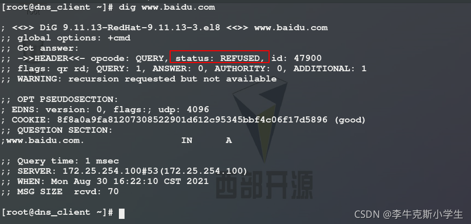 vm虚拟机dns服务器安装(vmware虚拟机搭建dns)，VMware虚拟机DNS服务器安装指南，搭建DNS服务器实战教程，VMware虚拟机DNS服务器安装与搭建实战教程，VMware虚拟机DNS服务器安装与实战搭建教程，VMware虚拟机DNS服务器安装与实战搭建指南，VMware虚拟机DNS服务器安装与实战搭建详解，VMware虚拟机DNS服务器安装与实战搭建详解，VMware虚拟机DNS服务器安装与实战搭建详解教程，VMware虚拟机DNS服务器安装与实战搭建详解教程视频指南 第2张