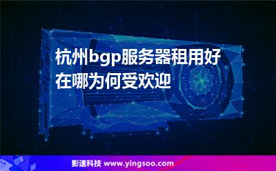 bgp服务器租用的真正选择方式(bgp state connect)，BGP服务器租用的明智之选，探寻真正的选择方式（BGP State Connect），探寻BGP服务器租用的明智之选，BGP Connect的真正选择方式，BGP服务器租用的明智选择，探寻BGP Connect的真正选择方式，BGP服务器租用的明智选择指南，探寻BGP Connect的真正选择方式 第2张