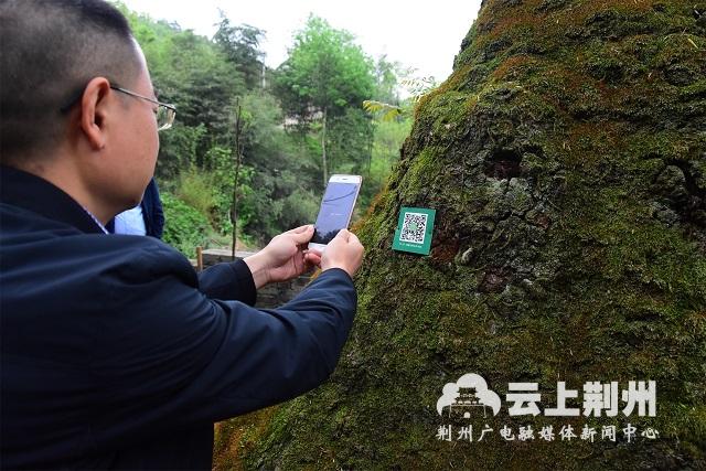 云服务器还要身份证(云服务器还要身份证验证吗)，云服务器是否需要身份证验证？