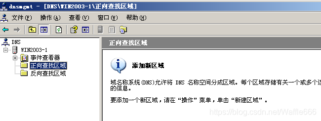 搭建dns域名服务器windows(windows server搭建dns)，Windows Server上搭建DNS域名服务器的指南，Windows Server搭建DNS域名服务器的详细指南
