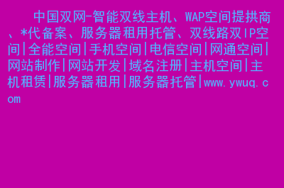 dns服务器租用(dns的服务器怎么填)，DNS服务器租用指南，如何填写DNS服务器信息，DNS服务器租用指南，如何正确填写DNS服务器信息 第2张