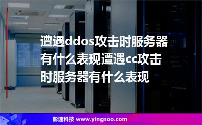 云服务器ddoscc防护(云服务器怎么防止ddos攻击)，云服务器如何防御DDoS攻击，防护策略与措施探讨 第2张