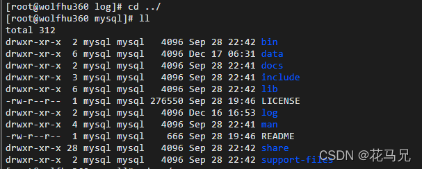 linux云服务器配置数据库(linux服务器配置与管理 案例教程)，Linux云服务器数据库配置与管理实战教程，Linux云服务器数据库配置与管理实战指南，Linux云服务器数据库配置与管理实战教程，从基础到实战的指南 第2张