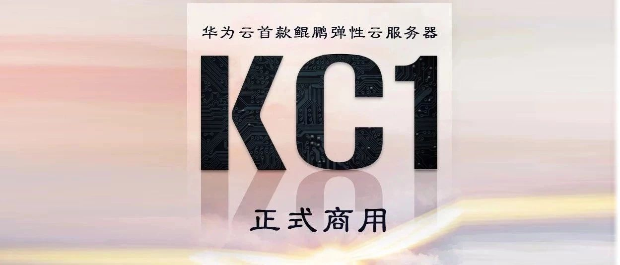 四川鲲鹏服务器购买(鲲鹏服务器是干什么的)，四川鲲鹏服务器购买指南，了解鲲鹏服务器的功能与用途，四川鲲鹏服务器购买指南，功能、用途及购买建议，四川鲲鹏服务器购买全攻略，功能、用途及购买建议指南，四川鲲鹏服务器购买指南，功能、用途与购买建议全攻略