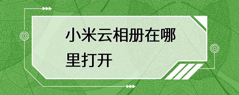 小米私密相册必须要打开云服务器吗(小米手机设置私密相册必须用小米云服务吗?)，小米私密相册是否需要打开云服务器？探讨设置私密相册是否必须使用小米云服务。，小米私密相册必须开启云服务吗？探讨私密相册设置与小米云服务的关联 第1张