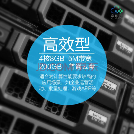 bgp云服务器优势文档介绍内容的简单介绍，BGP云服务器优势详解，优势特点与文档介绍概览