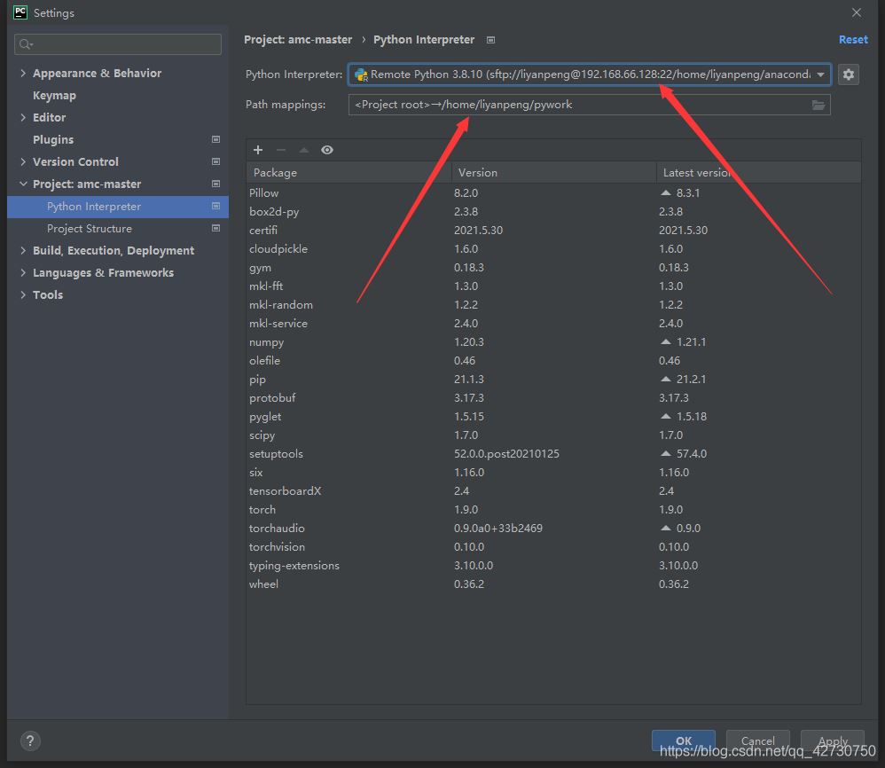 pycharm怎样在云服务器上调试(pycharm2020远程连接服务器)，PyCharm 2020远程连接云服务器调试指南，PyCharm 2020远程连接云服务器调试指南，详细步骤与操作指南