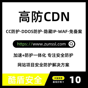 上海免备案高防ip服务器怎么样的简单介绍，上海免备案高防IP服务器简介，性能与安全性如何？