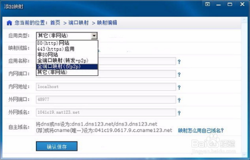 内网域名访问内网服务器地址(内网域名访问内网服务器地址怎么填)，内网域名访问服务器地址填写指南，如何设置内网域名访问内网服务器？，内网域名访问服务器地址填写指南，设置内网域名访问内网服务器的方法与步骤