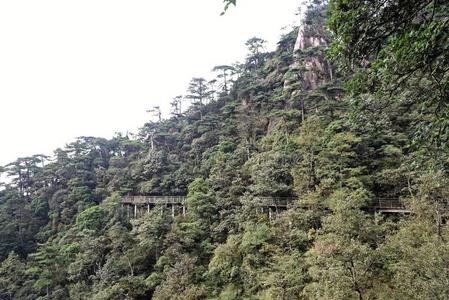 井冈山云服务器(井冈山智慧旅游有限公司)，井冈山云服务器（井冈山智慧旅游有限公司），智慧旅游新篇章
