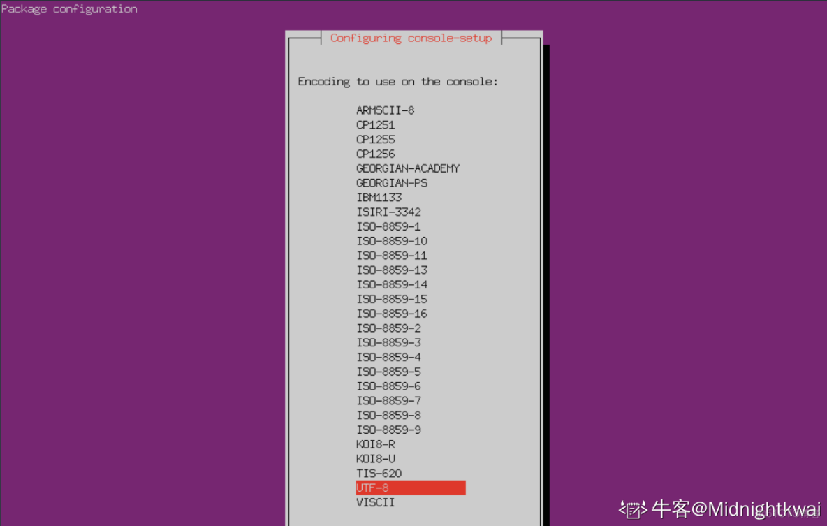 怎样放大云服务器内的字体(怎样放大云服务器内的字体大小)，云服务器内字体大小如何调整放大？，云服务器内字体大小调整指南，放大字体步骤详解