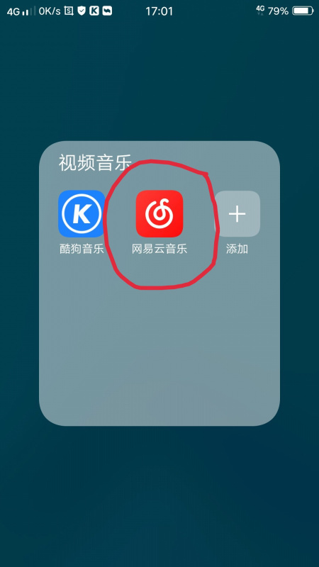 网易云收藏到歌单服务器错误(网易云收藏到歌单服务器错误怎么回事)，网易云收藏到歌单出现服务器错误的原因解析，网易云歌单收藏出现服务器错误的原因解析及解决方法探讨 第2张