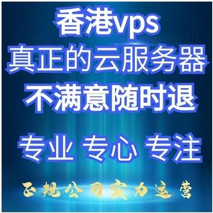 香港服务器租用的详细信息介绍(香港服务器租用的详细信息介绍是什么)，香港服务器租用的全面介绍与细节解析 第1张