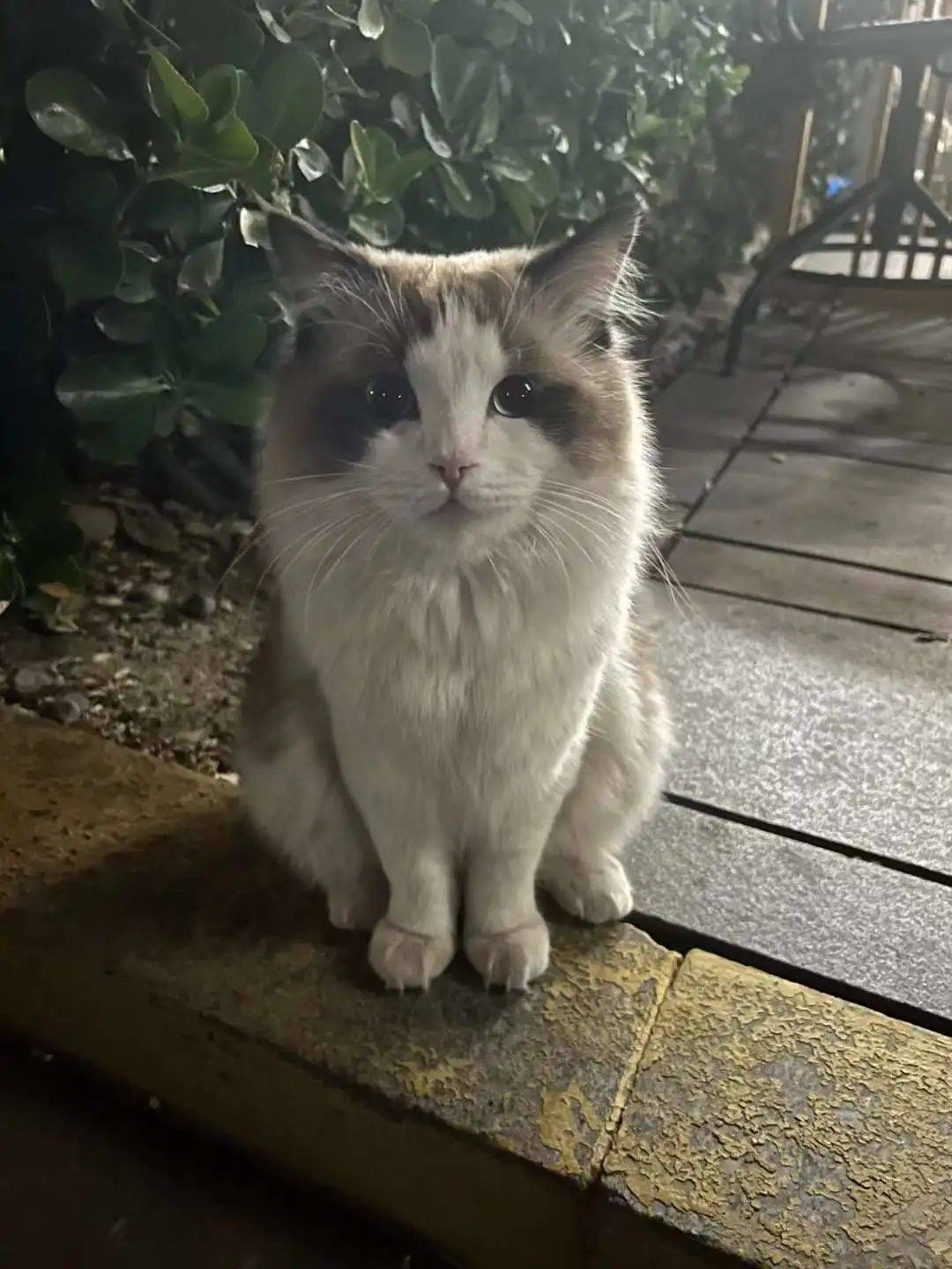 云猫服务器(云猫外服山东企业管理有限公司)，云猫服务器，山东企业管理有限公司的企业云服务介绍 第2张