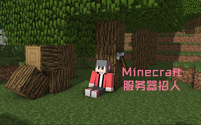 免费永久延迟低我的世界基岩版服务器(我的世界基岩版服务器推荐116版本)，免费永久延迟低版本我的世界基岩版服务器推荐，免费永久低延迟我的世界基岩版服务器推荐（针对116版本），免费永久低延迟我的世界基岩版服务器推荐（针对116版本专属），针对116版本专属！免费永久低延迟我的世界基岩版服务器推荐，针对116版本！免费永久低延迟的我的世界基岩版服务器推荐，针对Minecraft基岩版116版本，免费永久低延迟服务器推荐，针对Minecraft基岩版116版本，免费永久低延迟服务器推荐 第2张
