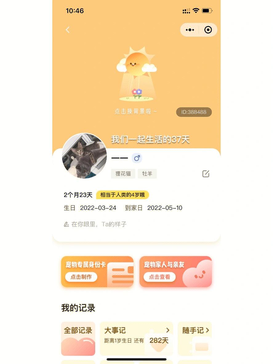 云养猫小程序服务器(云养猫app官方下载)，云养猫小程序与APP下载体验，随时随地与猫咪互动的乐趣 第2张