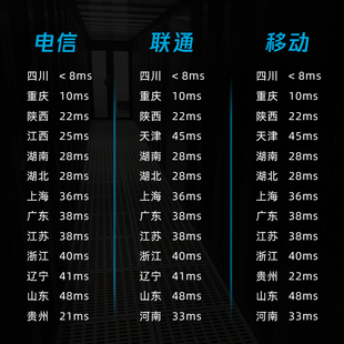 服务器租用bgp(服务器租用多少钱一月)，服务器租用BGP服务及价格概述，服务器租用BGP服务详解，价格与费用概述，服务器租用BGP服务详解及价格概览 第2张