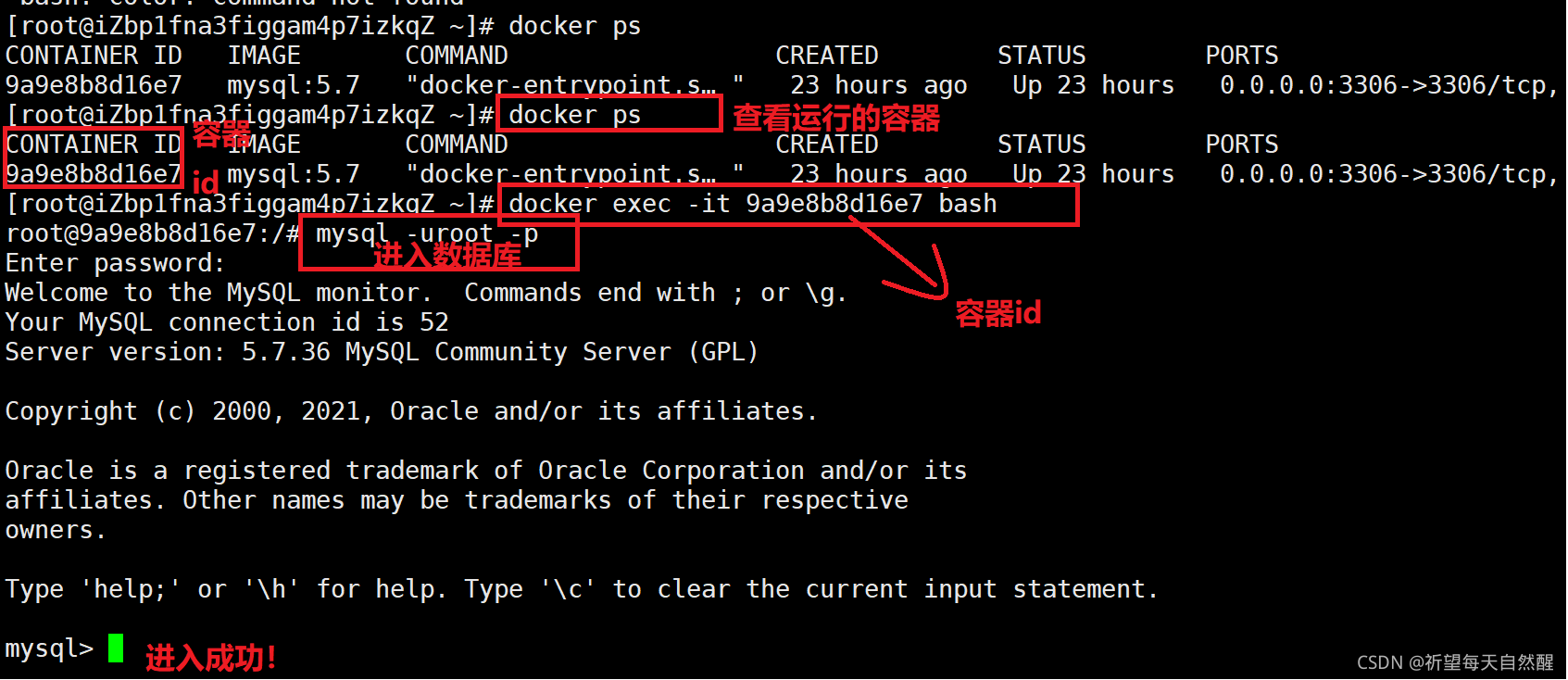 云服务器mysql无法安装高版本(无法安装服务mssqlserver)，云服务器MySQL高版本安装问题及解决方案（无法安装服务mssqlserver），云服务器MySQL高版本安装问题与解决方案（mssqlserver服务安装难题），云服务器MySQL高版本安装问题解析及MSSQLServer服务安装难题解决方案，云服务器MySQL高版本安装解析及MSSQLServer服务安装难题解决方案探讨 第2张