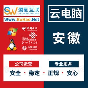 四川电信域名服务器虚拟主机(四川电信域名服务器虚拟主机怎么用)，四川电信域名服务器虚拟主机使用指南，操作方法与技巧 第2张