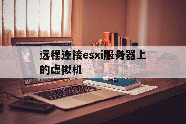远程连接esxi服务器上的虚拟机的简单介绍，远程连接ESXi服务器上虚拟机的简介，远程连接ESXi服务器上虚拟机的简介与操作指南，远程连接ESXi服务器上虚拟机的简介及操作指南
