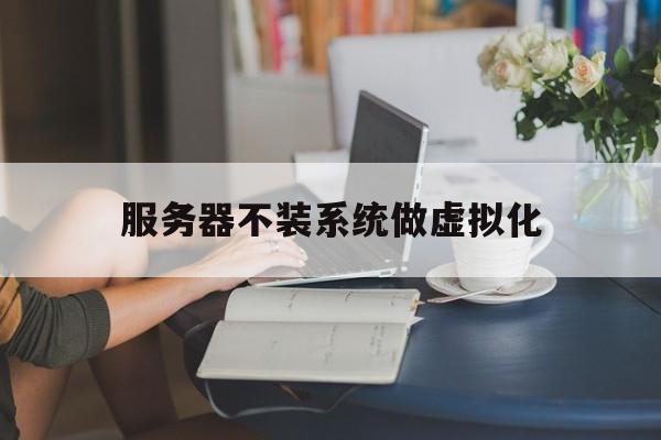 服务器不装系统做虚拟化(服务器不装系统做虚拟化可以吗)，服务器不装系统能否实现虚拟化探讨，探讨无系统服务器实现虚拟化可行性，无系统服务器实现虚拟化探讨，可行性分析与虚拟化实践指南